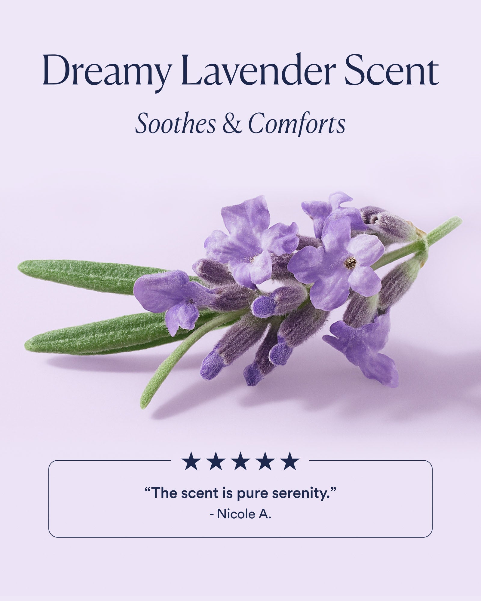7-DNC_PDP_SCENT_1600x2000_f26e3227-ce0f-4bc5-9423-1ab4fc33d69f.jpg